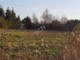 Rolny na sprzedaż - Wiązowna, Otwocki, 1620 m², 380 000 PLN, NET-G-88857-12