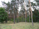 Leśne na sprzedaż - Józefów, Otwocki, 3090 m², 1 950 000 PLN, NET-G-88800-12