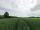 Rolny na sprzedaż - Huta Wiskicka, Rzgów, Łódzki Wschodni, 3176 m², 158 800 PLN, NET-SSN320989