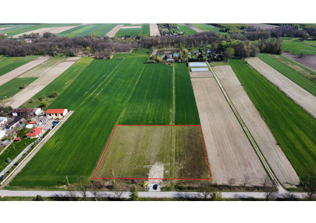 Działka na sprzedaż - Piorunów, Wodzierady, Łaski, 1422 m², 80 000 PLN, NET-SSN137791817