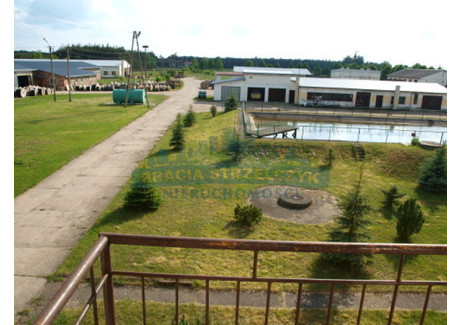 Lokal na sprzedaż - Przasnysz, Przasnyski, 4500 m², 7 500 000 PLN, NET-1549/2113/OLS