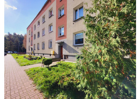 Mieszkanie na sprzedaż - Blachownia, Częstochowski, 49 m², 255 000 PLN, NET-CZE-810991