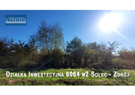 Działka na sprzedaż - Solec-Zdrój, Solec-Zdrój (Gm.), Buski (Pow.), 6064 m², 394 000 PLN, NET-13