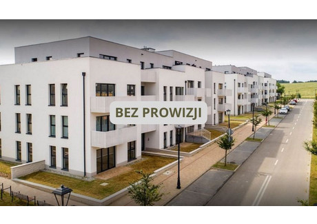 Mieszkanie na sprzedaż - Jeziorna Siewierz, Będziński, 42,65 m², 287 652 PLN, NET-963226