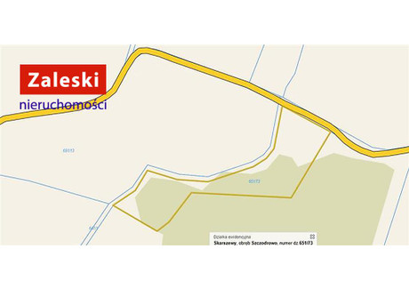 Działka na sprzedaż - Szczodrowo, Skarszewy, Starogardzki, 9977 m², 210 000 PLN, NET-ZA016295