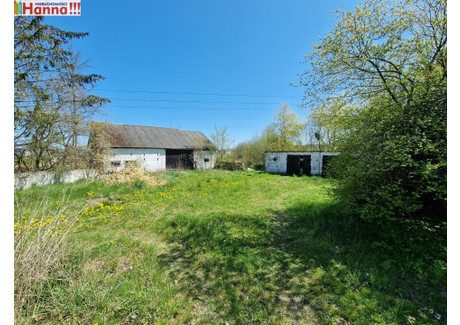 Działka na sprzedaż - Banino, Żukowo, Kartuski, 17 360 m², 5 989 200 PLN, NET-HA015484