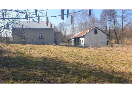 Dom na sprzedaż - Dominikowice, Gorlice (gm.), Gorlicki (pow.), 100 m², 350 000 PLN, NET-B4/22