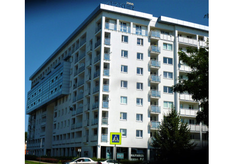 Mieszkanie do wynajęcia - Piątkowska Winiary, Poznań, 55 m², 2300 PLN, NET-56833