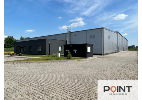 Magazyn na sprzedaż - Polna Parczew, Parczew (Gm.), Parczewski (Pow.), 2945 m², 9 700 000 PLN, NET-2/13283/OHS
