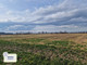 Rolny na sprzedaż - Mościckiego Dębica, Dębicki, 10 160 m², 2 000 000 PLN, NET-44335/3877/OGS
