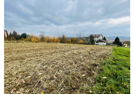 Działka na sprzedaż - Skrzynecka Dobczyce, Myślenicki, 7600 m², 1 400 000 PLN, NET-45242/3877/OGS