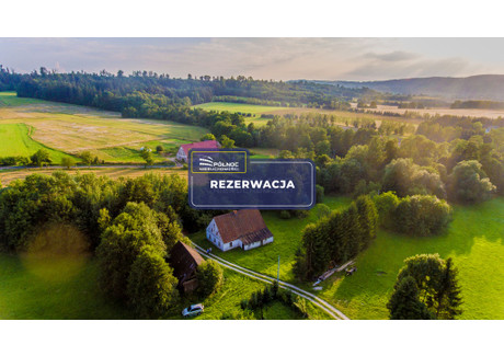 Dom na sprzedaż - Dolnik, Międzylesie, Kłodzki, 220 m², 369 000 PLN, NET-41374/3877/ODS