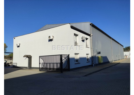 Magazyn do wynajęcia - Grabiszyn, Wrocław, Wrocław M., 830 m², 30 580 PLN, NET-BESW-HW-14492