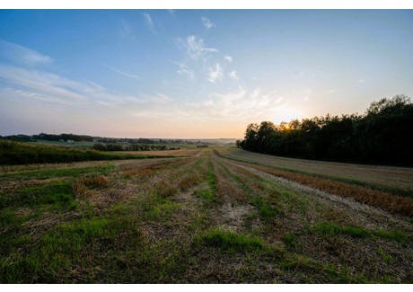 Działka na sprzedaż - Dworska Więcławice Dworskie, Michałowice (gm.), Krakowski (pow.), 11 080 m², 1 150 000 PLN, NET-5