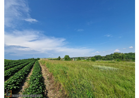 Działka na sprzedaż - Cianowice Małe, Skała, Krakowski, 4870 m², 267 000 PLN, NET-PAC-GS-7445-2