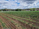 Rolny na sprzedaż - Masłomiąca, Michałowice, Krakowski, 3400 m², 285 000 PLN, NET-PAC-GS-7221-1