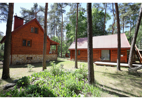 Dom na sprzedaż - Sokolniki-Las, Ozorków, Zgierski, 165 m², 1 099 000 PLN, NET-935086949