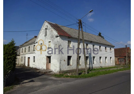 Obiekt na sprzedaż - Borowina, Szprotawa, 295 m², 150 000 PLN, NET-497941