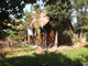 Dom na sprzedaż - Polna Siemiatycze, Siemiatycki, 90 m², 300 000 PLN, NET-2451