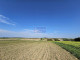 Rolny na sprzedaż - Szczodrkowice, Skała, Krakowski, 5300 m², 380 000 PLN, NET-32358