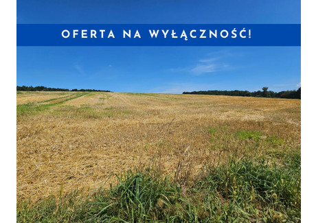 Działka na sprzedaż - Michałowice, Krakowski, 1376 m², 330 000 PLN, NET-32322