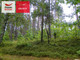 Leśne na sprzedaż - Skorzewo, Kościerzyna, Kościerski, 3008 m², 240 640 PLN, NET-PH937231