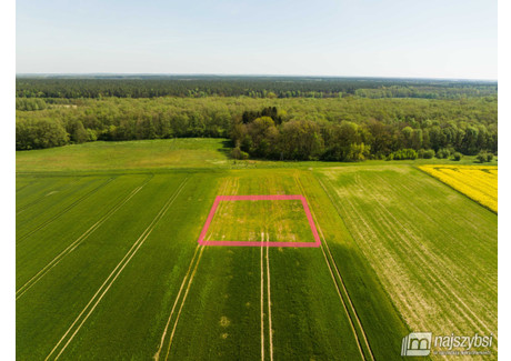 Działka na sprzedaż - Kartlewo, Przybiernów, Goleniowski, 3270 m², 70 000 PLN, NET-5794/MKN/DZS-277488