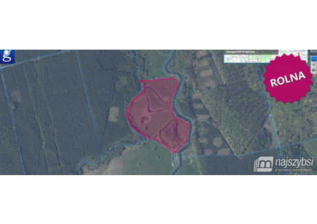 Działka na sprzedaż - Osada, Krzewno, Goleniów, Goleniowski, 75 000 m², 300 000 PLN, NET-6042/MKN/DZS-278870