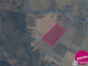 Rolny na sprzedaż - Trzechel, Nowogard, Goleniowski, 39 800 m², 465 000 PLN, NET-5615/MKN/OGS-275977