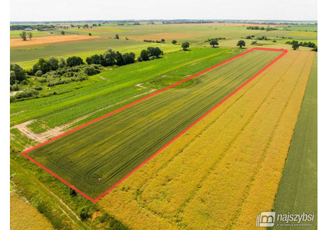 Działka na sprzedaż - Obromino, Pyrzyce, Pyrzycki, 23 198 m², 130 000 PLN, NET-5880/MKN/DZS-277937