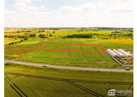 Działka na sprzedaż - Pyrzyce, Pyrzycki, 6170 m², 89 000 PLN, NET-5881/MKN/DZS-277938