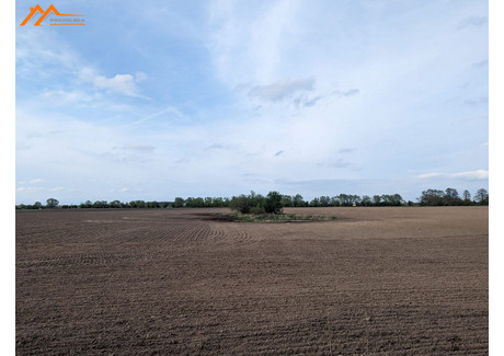 Działka na sprzedaż - Podlesie Oborniki, Obornicki, 12 000 m², 117 000 PLN, NET-PATTY306227-306349