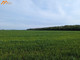 Rolny na sprzedaż - Podlesie, Oborniki, Obornicki, 12 000 m², 119 000 PLN, NET-SADI306227-306227