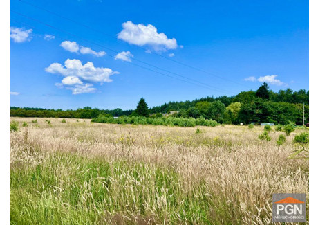 Działka na sprzedaż - Domysłów, Wolin, Kamieński, 1950 m², 269 000 PLN, NET-OFN306963-306963