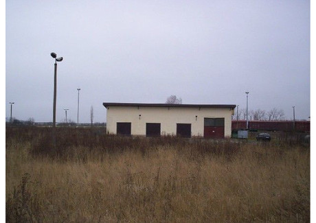 Magazyn, hala do wynajęcia - Nowa Hrubieszów, Hrubieszowski, 214 m², 1073 PLN, NET-24976