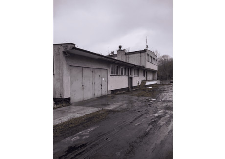 Lokal do wynajęcia - Dworcowa Ropczyce, Ropczyce (gm.), Ropczycko-Sędziszowski (pow.), 116,88 m², 1500 PLN, NET-20748568