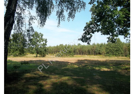 Działka na sprzedaż - Cisówka, Miński, 2600 m², 54 500 PLN, NET-G-51178-0