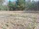 Rolny na sprzedaż - Stanisławów, Miński, 5300 m², 60 000 PLN, NET-G-83403-13