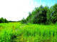 Rolny na sprzedaż - Borki, Miński, 5000 m², 50 000 PLN, NET-G-10967-13