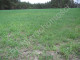 Rolny na sprzedaż - Mała Wieś, Miński, 16 000 m², 96 000 PLN, NET-G-3528-13/E123