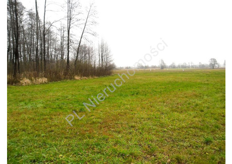 Działka na sprzedaż - Nowodwór, Miński, 10 400 m², 83 200 PLN, NET-G-10182-13