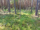 Leśne na sprzedaż - Turze, Wołomiński, 3800 m², 30 000 PLN, NET-G-82934-13