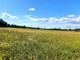 Rolny na sprzedaż - Kluki, Miński, 6015 m², 149 000 PLN, NET-G-83397-13