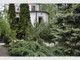 Dom na sprzedaż - Milanówek, Grodziski, 433 m², 1 600 000 PLN, NET-D-85754-5
