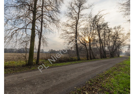 Działka na sprzedaż - Stare Budy, Grodziski, 8800 m², 550 000 PLN, NET-G-90512-6