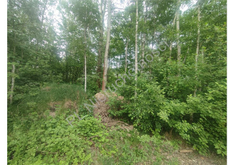 Działka na sprzedaż - Wycinki Osowskie, Grodziski, 7766 m², 650 000 PLN, NET-G-90573-6