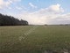 Rolny na sprzedaż - Krze Duże, Żyrardowski, 65 000 m², 2 275 000 PLN, NET-G-77242-6