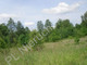 Rolny na sprzedaż - Skuły, Grodziski, 30 000 m², 870 000 PLN, NET-G-17781-6/E96