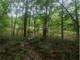 Leśne na sprzedaż - Siestrzeń, Grodziski, 13 200 m², 1 980 000 PLN, NET-G-89874-6