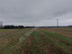Rolny na sprzedaż - Krusze, Wołomiński, 859 m², 107 375 PLN, NET-G-85522-7